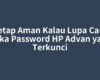 Tetap Aman Kalau Lupa Cara Buka Password HP Advan yang Terkunci