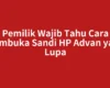 Pemilik Wajib Tahu Cara Membuka Sandi HP Advan yang Lupa