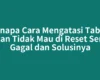 Kenapa Cara Mengatasi Tablet Advan Tidak Mau di Reset Sering Gagal dan Solusinya